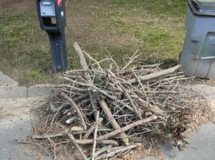 Cleanups by Erica Smedley for Linda G. in Charlotte, NC