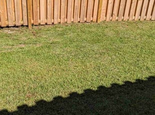 Leaf Removal by Jacob Wilson for Samantha F. in Charleston, SC