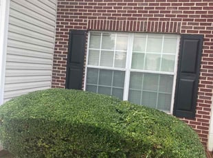 Kenneth H.'s Bush Trimming service result