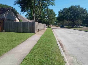 Steven P.'s Yard Cutting service result