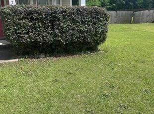 Bush Trimming by Joseph Clark for Reggie H. in Fayetteville, NC
