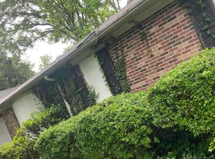 Bush Trimming by Shaquille Davis for Karl F. in Greenville, SC