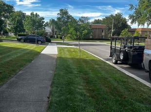 steve t.'s Grass Cutting service result