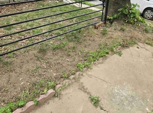 Cleanups by Randy Miller for Paris L. in Philadelphia, PA