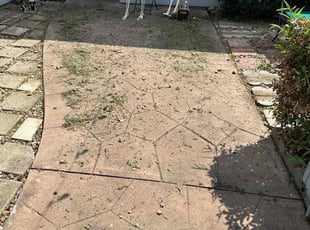 Cleanups by Cesar Salazar for Elizabeth F. in Houston, TX