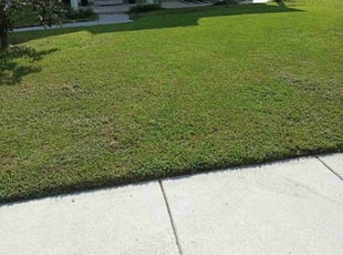 donald s.'s Yard Cutting service result
