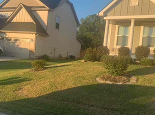 Weeding by Benjamin Powell for Janson E. in Taylors, SC