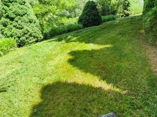 Lenslee H.'s Lawn Maintenance service result
