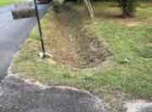 Bush Trimming by Jason Hembree for Morris F. in Douglasville, GA
