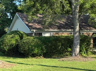 Bush Trimming by Christopher Poteat for Jasmine W. in Greensboro, NC