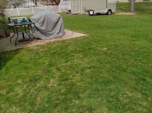 Leaf Removal by Troy Carroll for Michael G. in Ballston Spa, NY