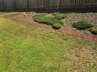 Weeding by Carlos Wright for Hilda W. in Lawrenceville, GA