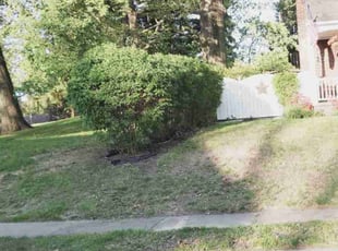 Bush Trimming by Megan Sandor for Mary S. in Canton, OH