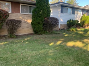 Bush Trimming by Marcus Williams for Roderick V. in Maple Heights, OH