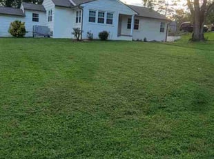Earle T.'s Lawn Care service result