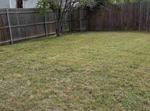 Cleanups by Isaiah Vega for Jonathan B. in Rowlett, TX