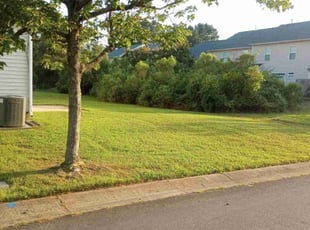 Sam K.'s Lawn Service service result
