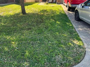 Ryan S.'s Lawn Mowing service result