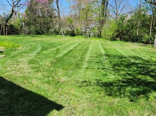 Lelani W.'s Lawn Care service result