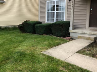 Bush Trimming by Donald Prentiss for Charles H. in Canal Winchester, OH