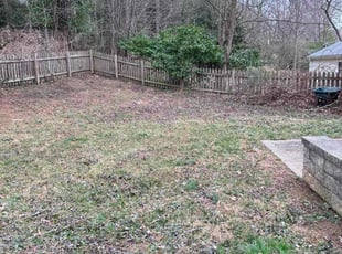 Leaf Removal by Carlos Portillo for Clint C. in Annandale, VA