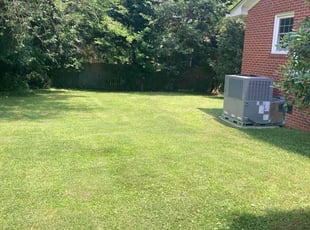 Cherie F.'s Lawn Mowing service result