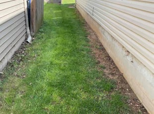 Leaf Removal by Gavin Rogers for Douglas W. in Lexington, KY