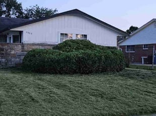 Bush Trimming by Chris Cumbridge for Brandon B. in Dayton, OH