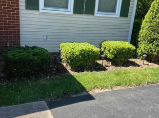 Bush Trimming by JosuΓ© and Eduardo Tena for Jose A. in Columbia, MD