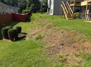 Cleanups by Armando J for Ishaan B. in Lawrenceville, GA