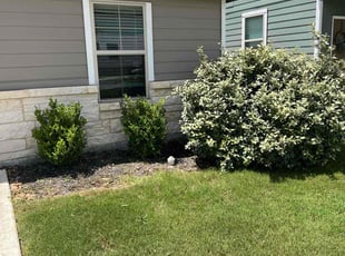Weeding by Angel Olivares for Nicholas A. in San Antonio, TX