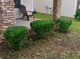 Bush Trimming by Christian Gonzalez for Keno C. in Charlotte, NC