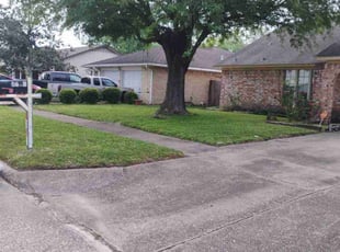 Franzella M.'s Lawn Care service result