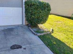 Bush Trimming by Andrew Hudson for Marq C. in Union City, GA