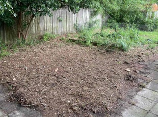 Cleanups by Cameron Penn for Kimberly P. in Summerville, SC