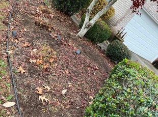 Weeding by Valera Swearngin for Andrew B. in Chesapeake, VA