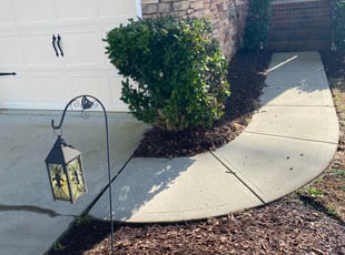 Bush Trimming by EL AllA-MuAmAd for Chad M. in Charlotte, NC