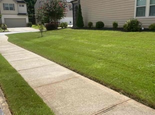 Calvin w.'s Grass Cutting service result