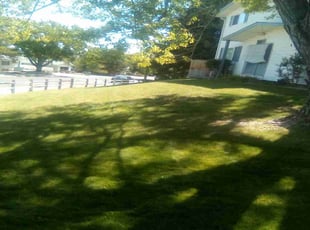 Nichole T.'s Lawn Mowing service result