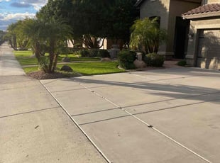 Bush Trimming by Andrew Hoodzow for Jessica G. in Mesa, AZ