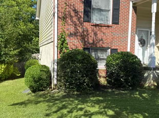 Bush Trimming by Ethan Wright for Moronda W. in Marietta, GA