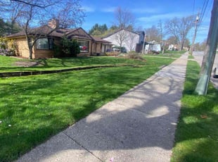 Lori L.'s Lawn Mowing service result