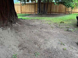 Leaf Removal by Marisa Blair for Anupam S. in Redmond, WA
