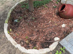 Weeding by Abel Baeza for Sasha M. in Plano, TX