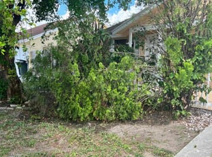Bush Trimming by Elie Charles for Elizabeth G. in Boca Raton, FL