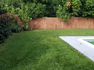 Teresa C.'s Yard Cutting service result
