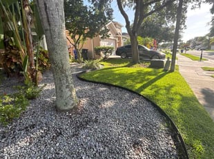 Leaf Removal by Cheryl Badger for Shelley V. in Oldsmar, FL