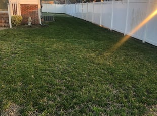 Leaf Removal by Trevor Dash for Shirley G. in Pasadena, MD