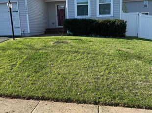 Rick C.'s Lawn Mowing service result