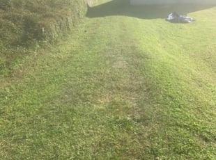 Bush Trimming by Romelia Rivers for LaDarrius S. in Birmingham, AL